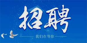 職位：赴日軟件工程師(長期)